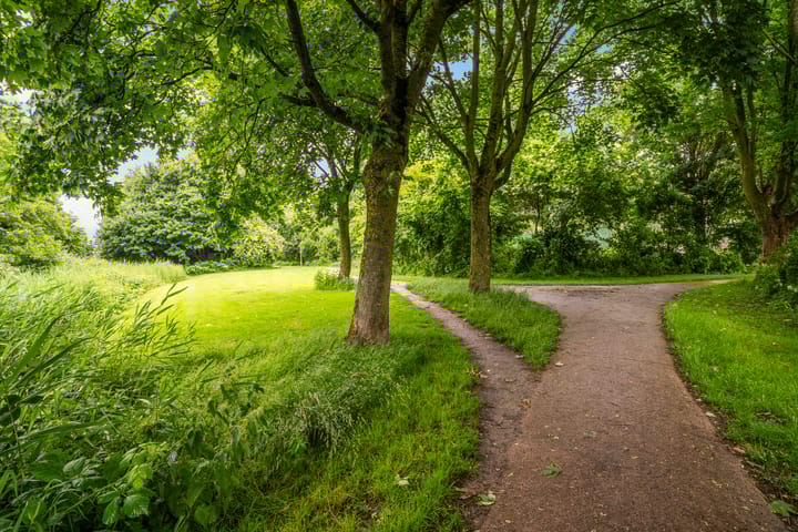 Photo 39 of Lieuwkemastraat 7