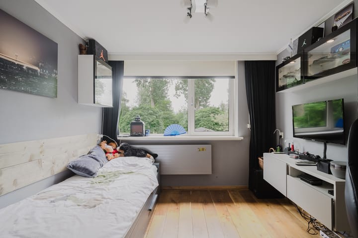 Foto 30 van Zalmsteek 43