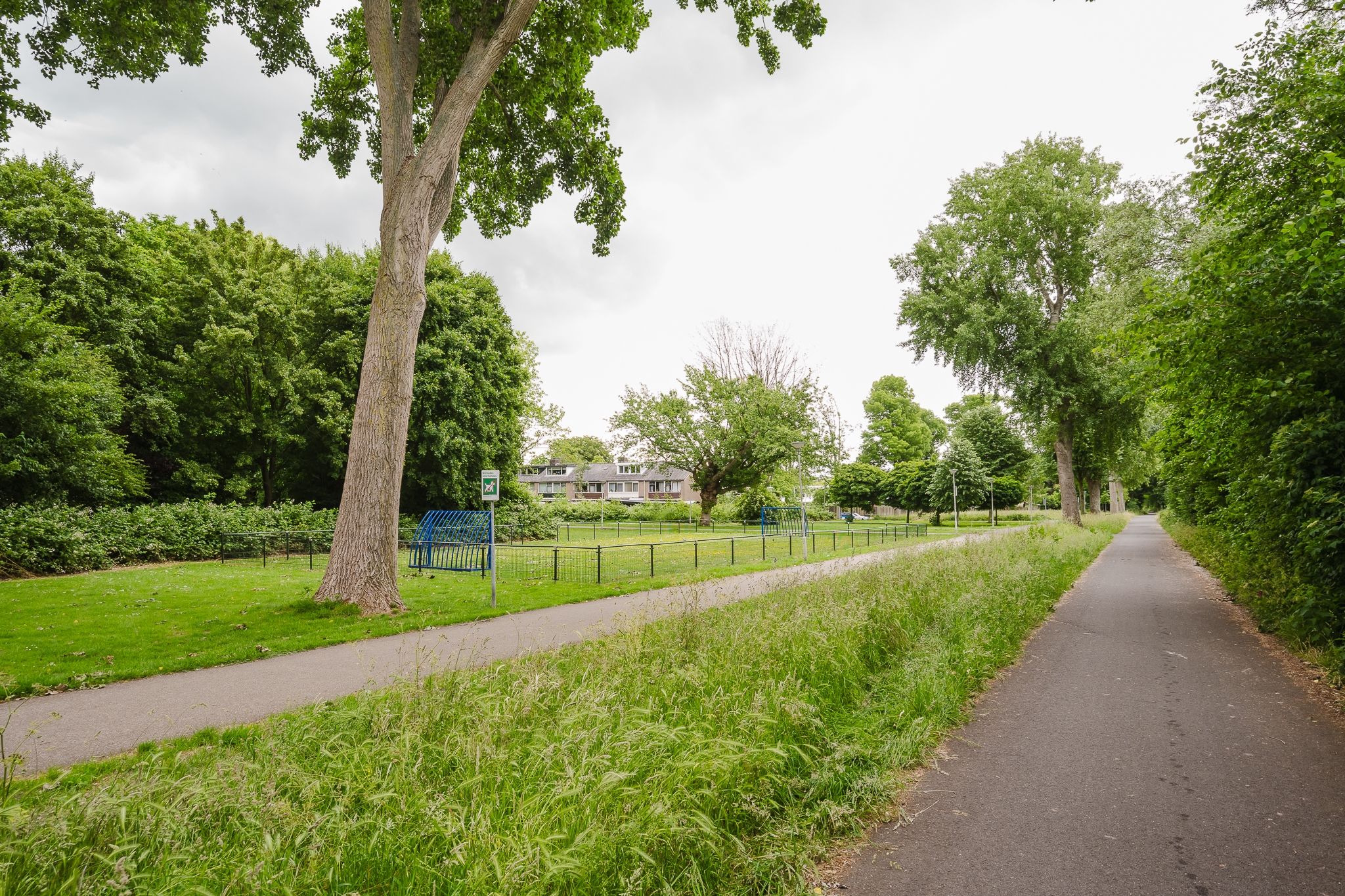 Foto 36 van Zalmsteek 43