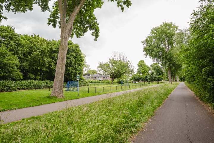 Foto 36 van Zalmsteek 43