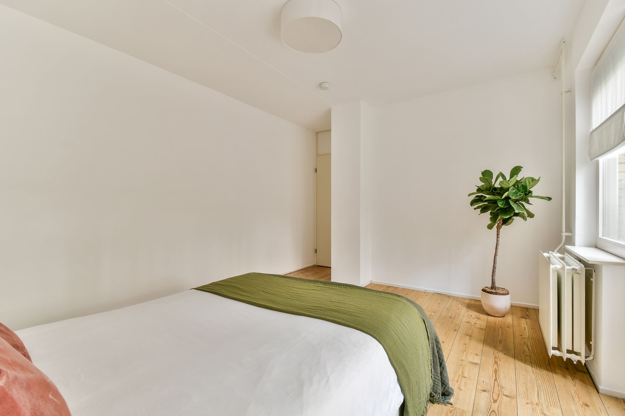 Photo 9 of Van Ostadestraat 273