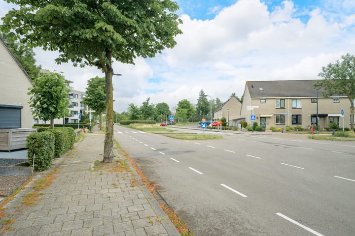 Foto 50 van Dwarsdijk 13