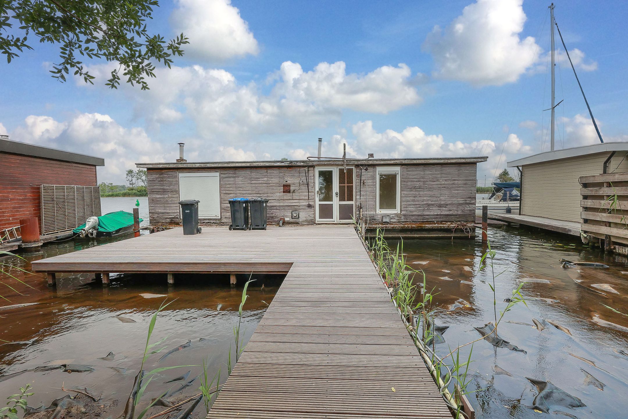 Foto 6 van Horn 781-S