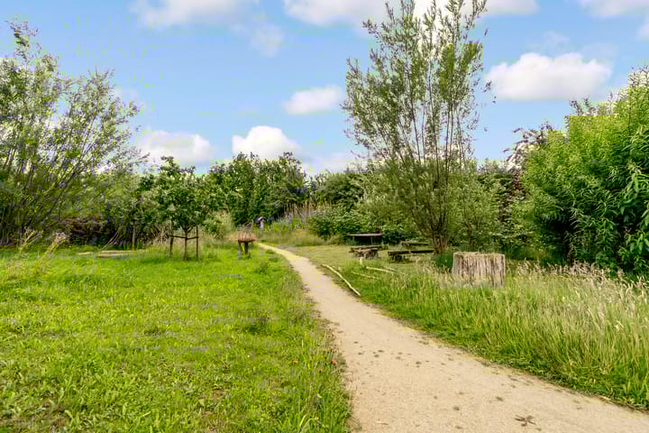 Foto 34 van Sumatraweg 310