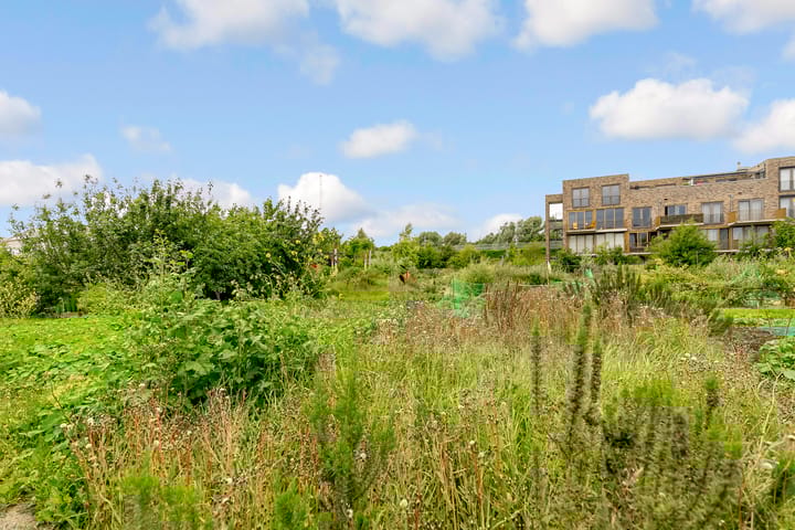 Foto 35 van Sumatraweg 310