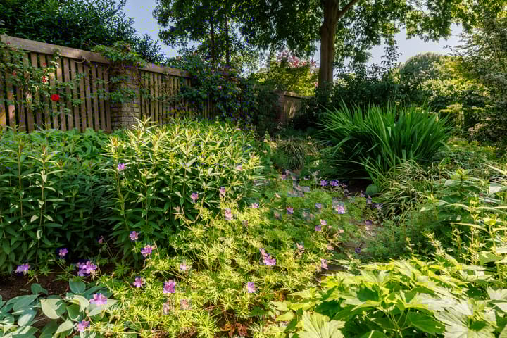 Foto 60 van Oosterweg 82