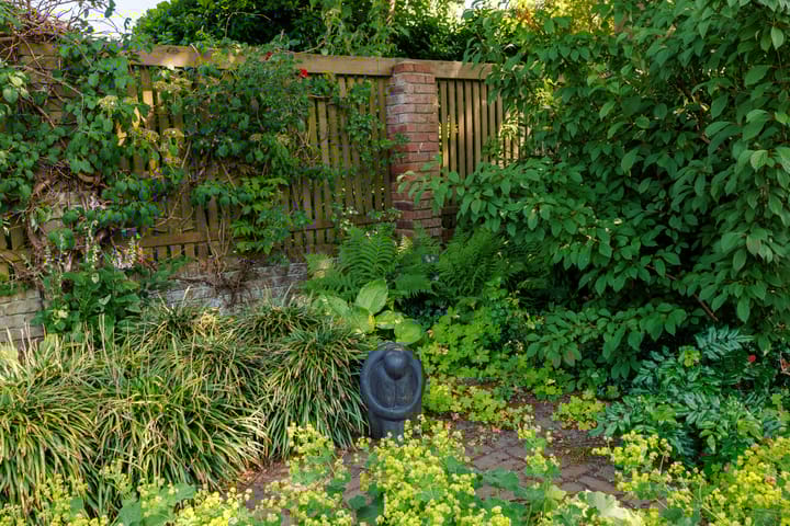 Foto 62 van Oosterweg 82