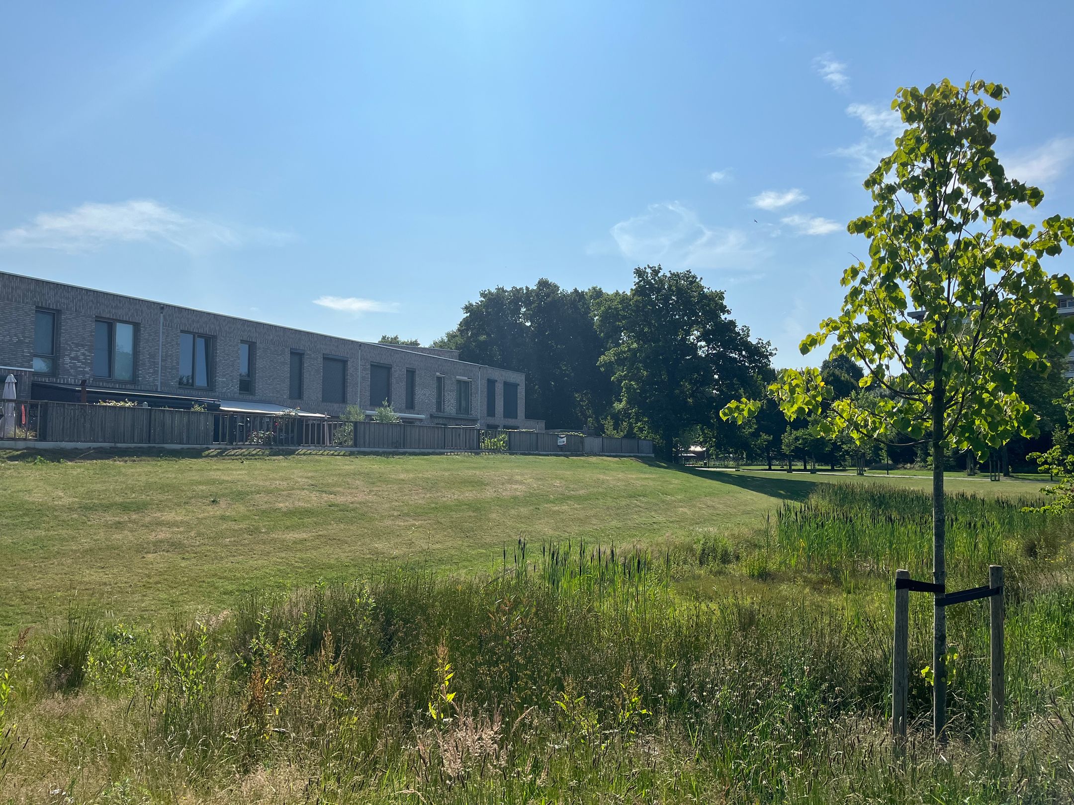 Foto 36 van Sonate 16