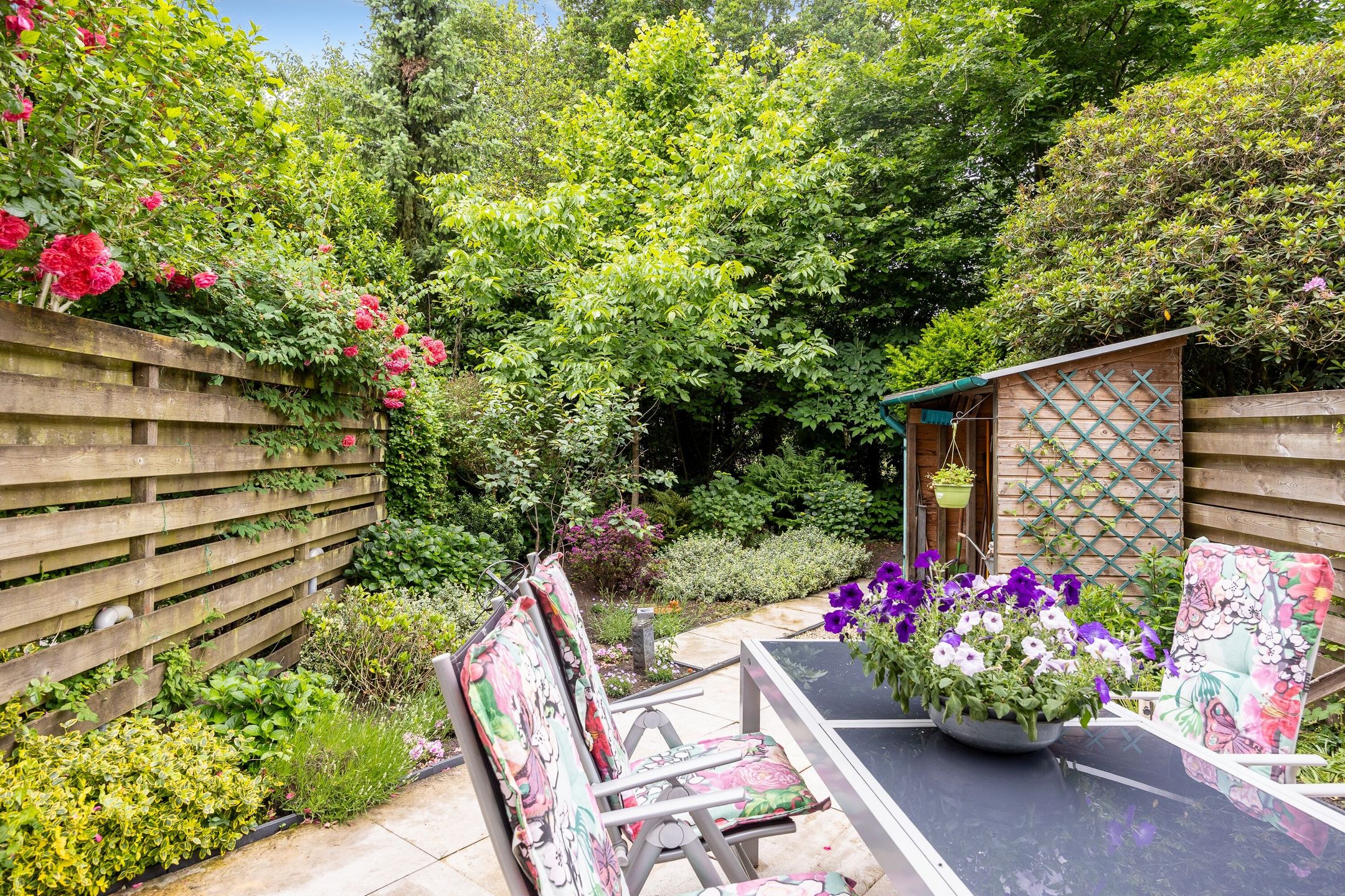 Foto 9 van Ardennen 38