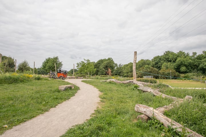 Foto 6 van Karrespoor 16