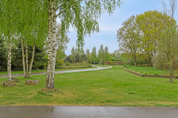 Foto 39 van Grasstrook 40