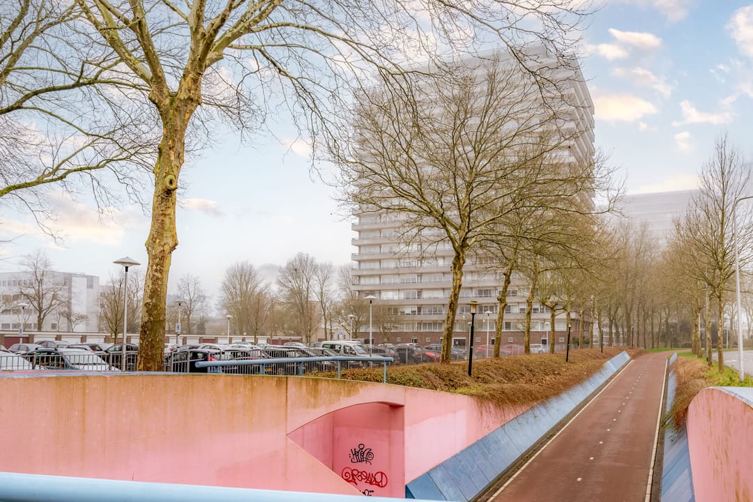 Foto 1 van Aziëlaan 464