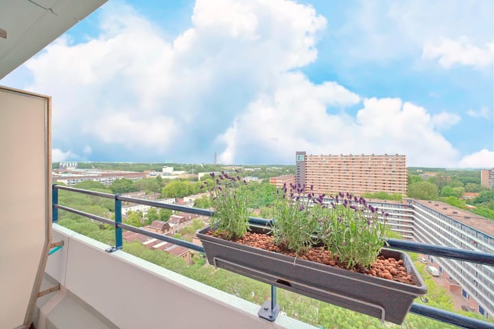 Foto 17 van Bosboom-Toussaintplein 238