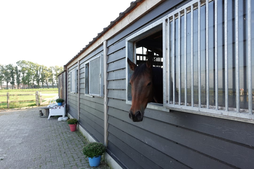 Foto 67 van Meerweg 14