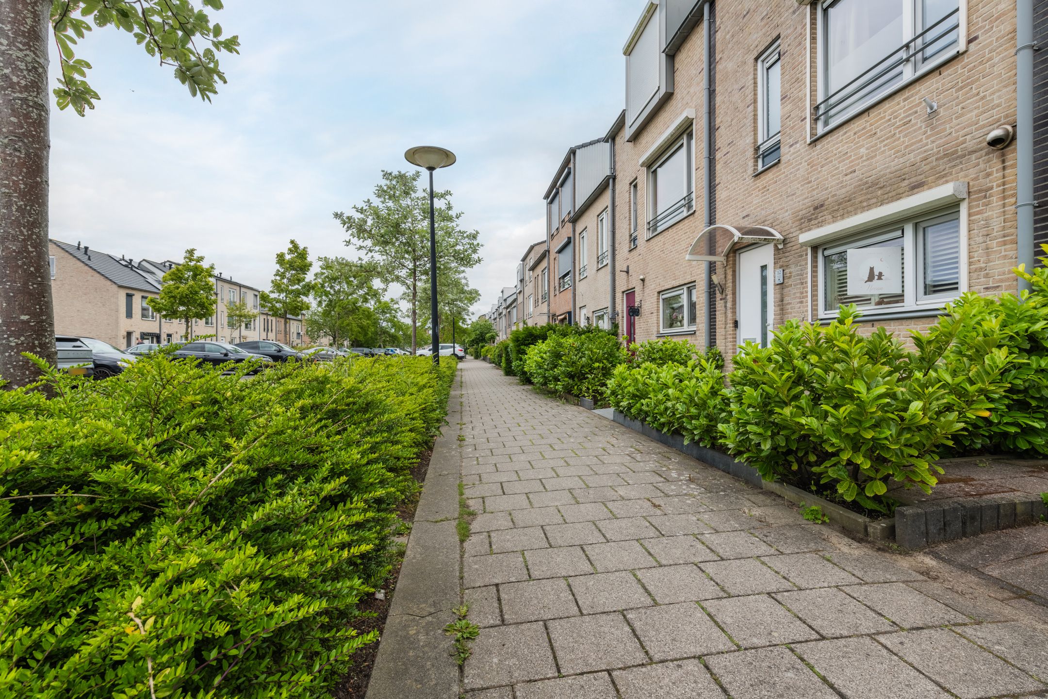 Foto 42 van Midgard 12