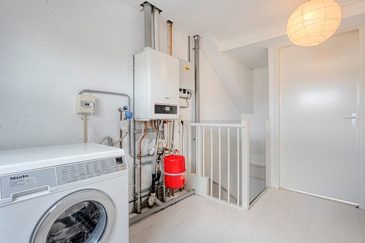 Foto 32 van Rietgras 68