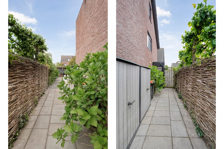 Foto 47 van Rietgras 68