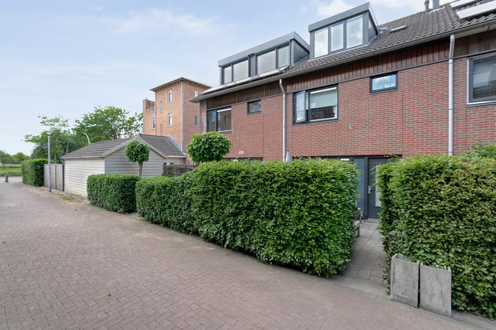 Foto 49 van Rietgras 68