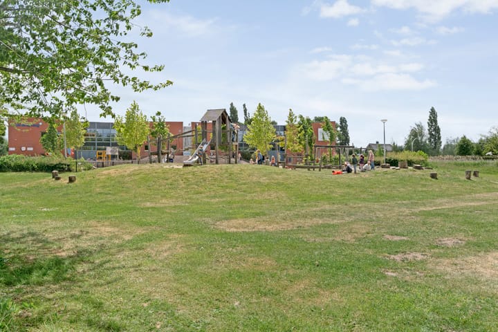 Foto 52 van Rietgras 68