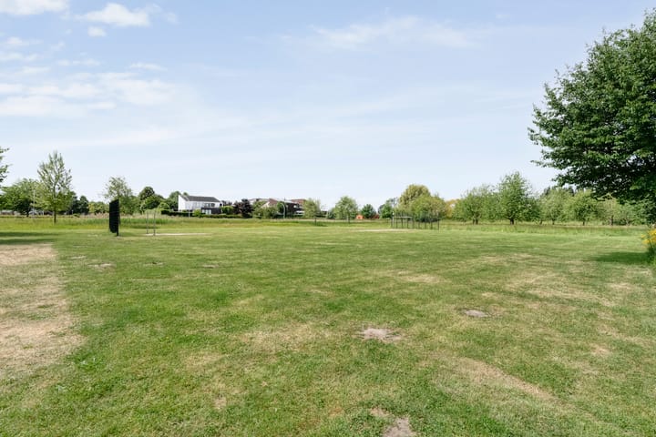 Foto 53 van Rietgras 68