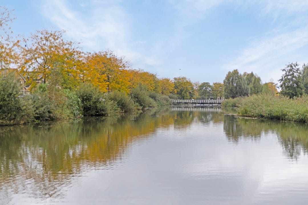 Photo 37 of Rietdekker 45