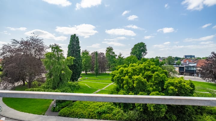 Foto 2 van Lisdodde 76