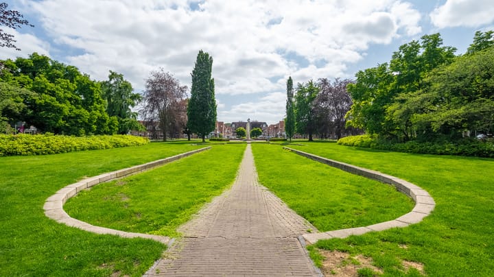 Foto 3 van Lisdodde 76