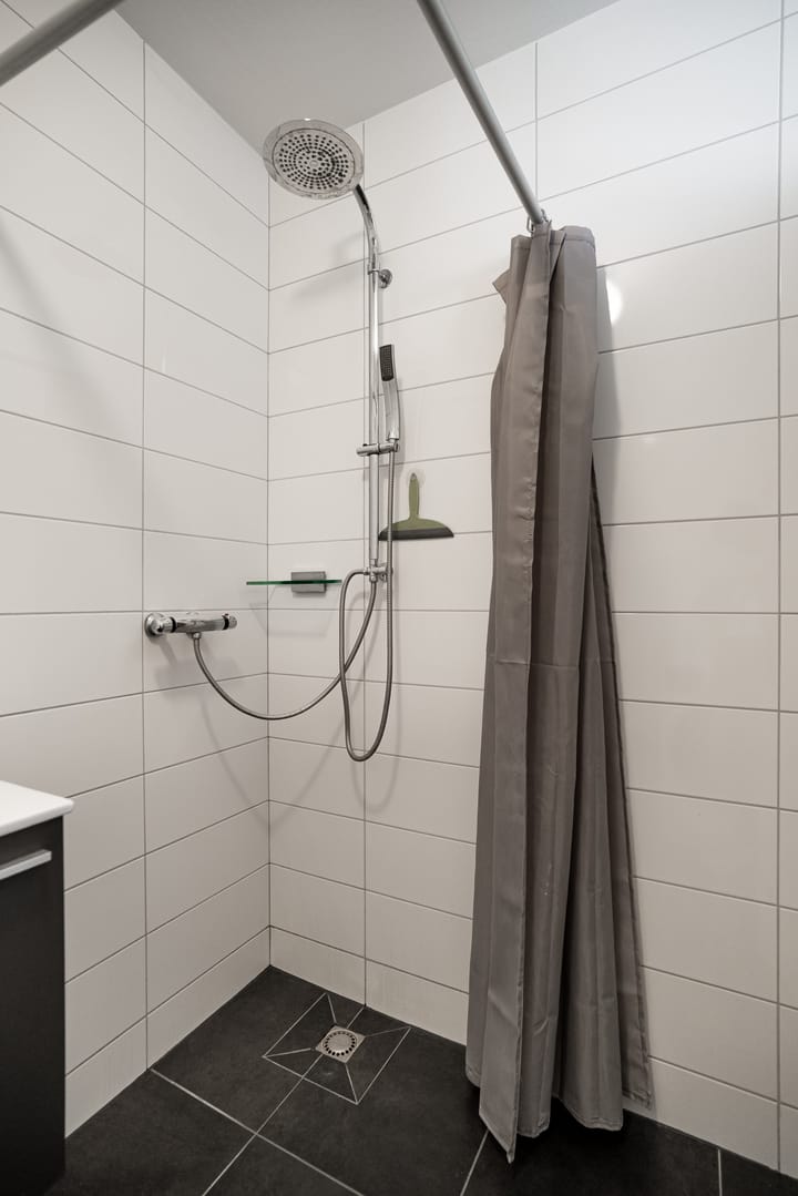 Foto 11 van Lisdodde 76