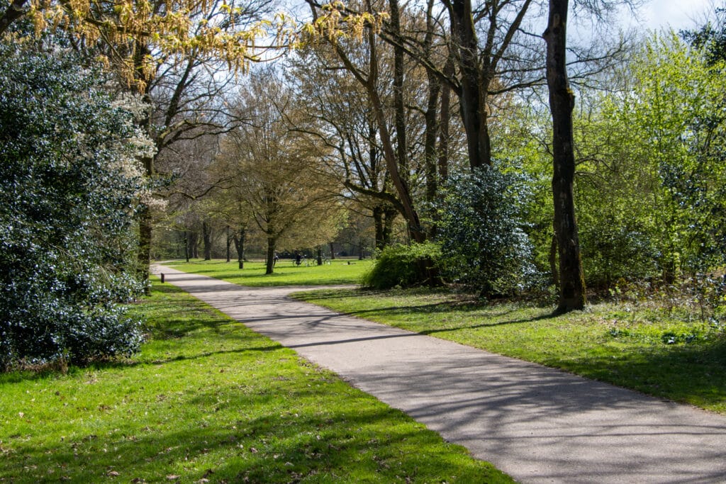 Photo 30 of Duifstraat 66