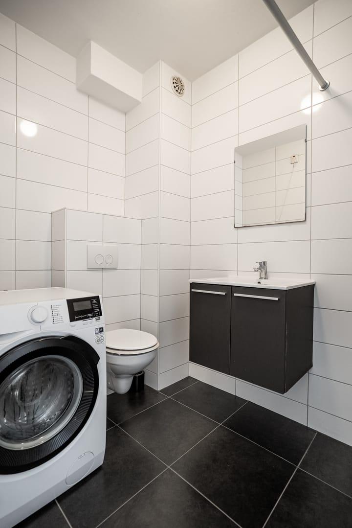 Foto 12 van Lisdodde 76