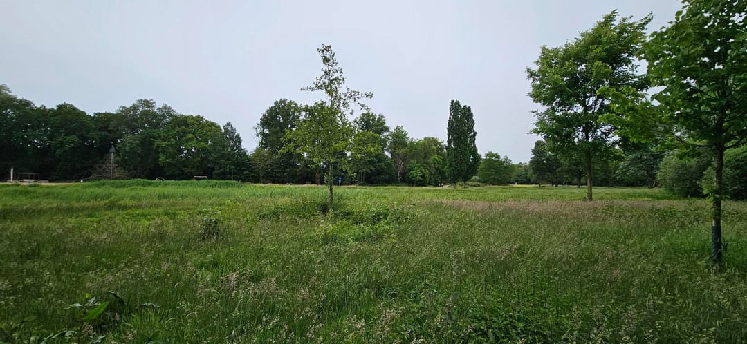 Photo 31 of Duifstraat 66