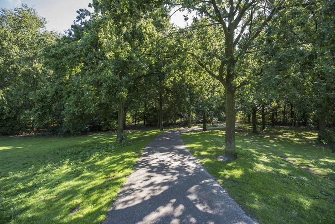 Photo 32 of Duifstraat 66