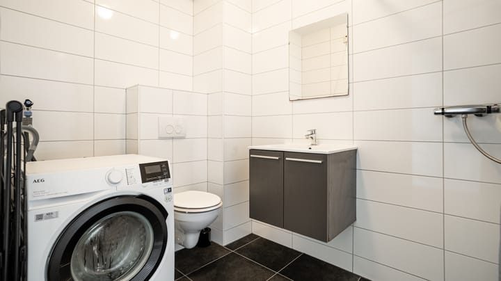 Foto 13 van Lisdodde 76