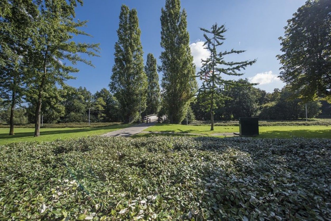 Photo 34 of Duifstraat 66