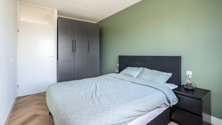 Foto 15 van Lisdodde 76