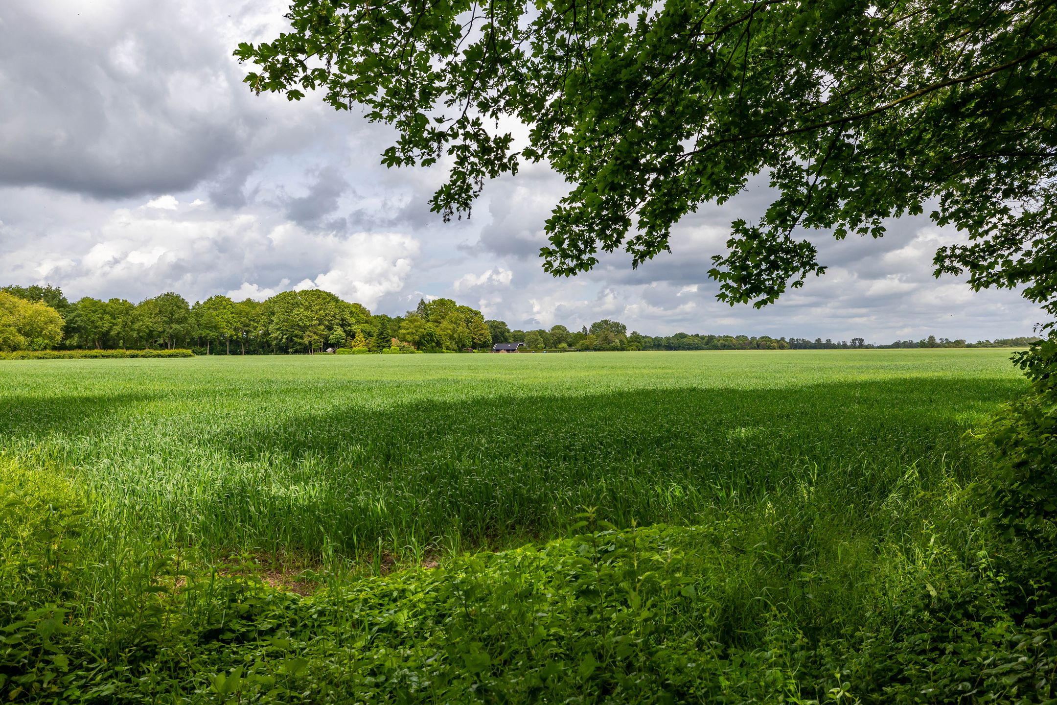 Photo 3 of Tienelsweg 37-174