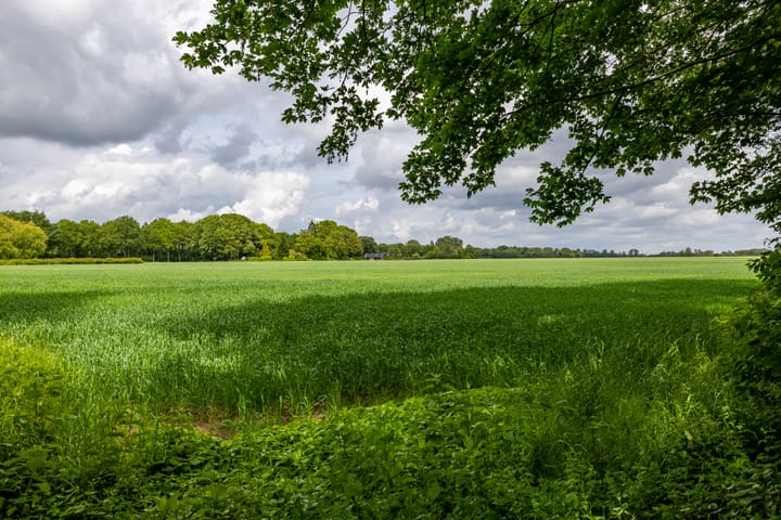 Foto 3 van Tienelsweg 37-174