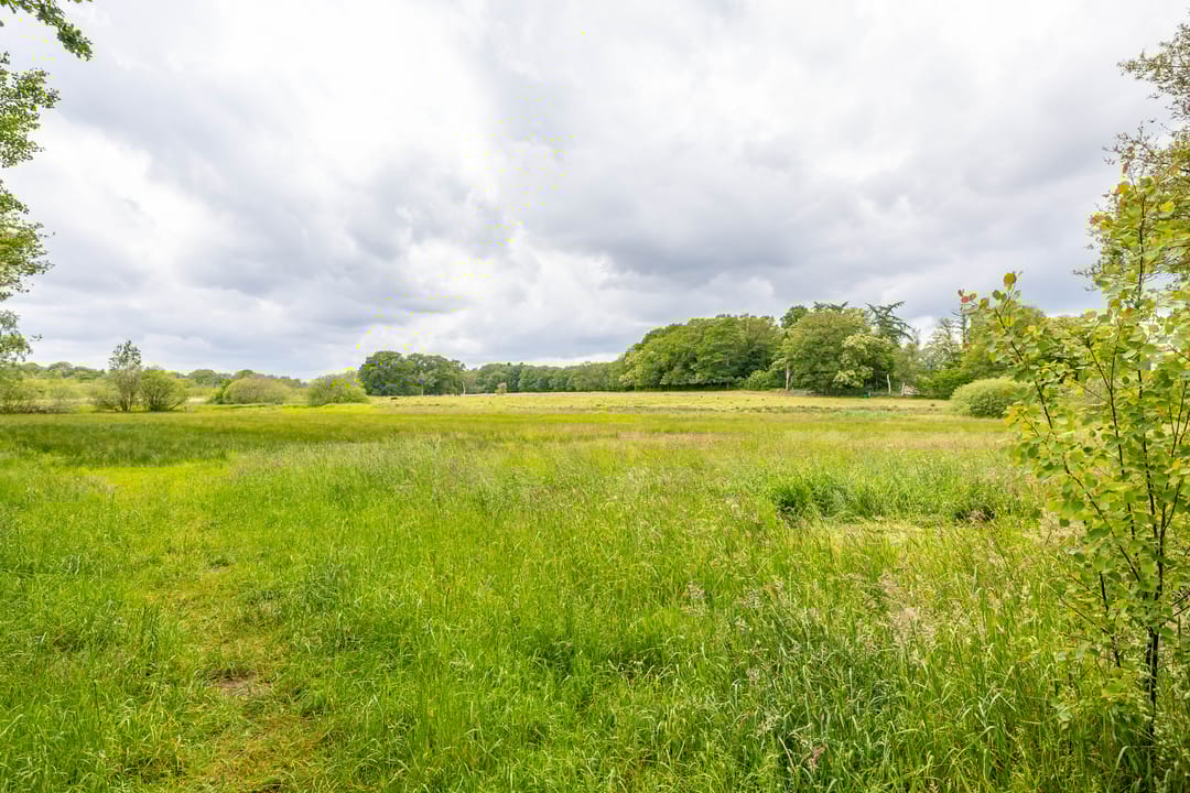 Photo 8 of Tienelsweg 37-174