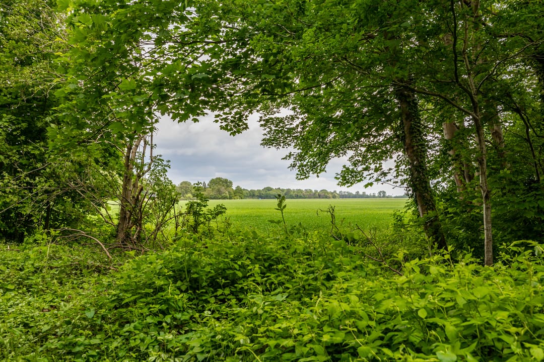 Photo 17 of Tienelsweg 37-174