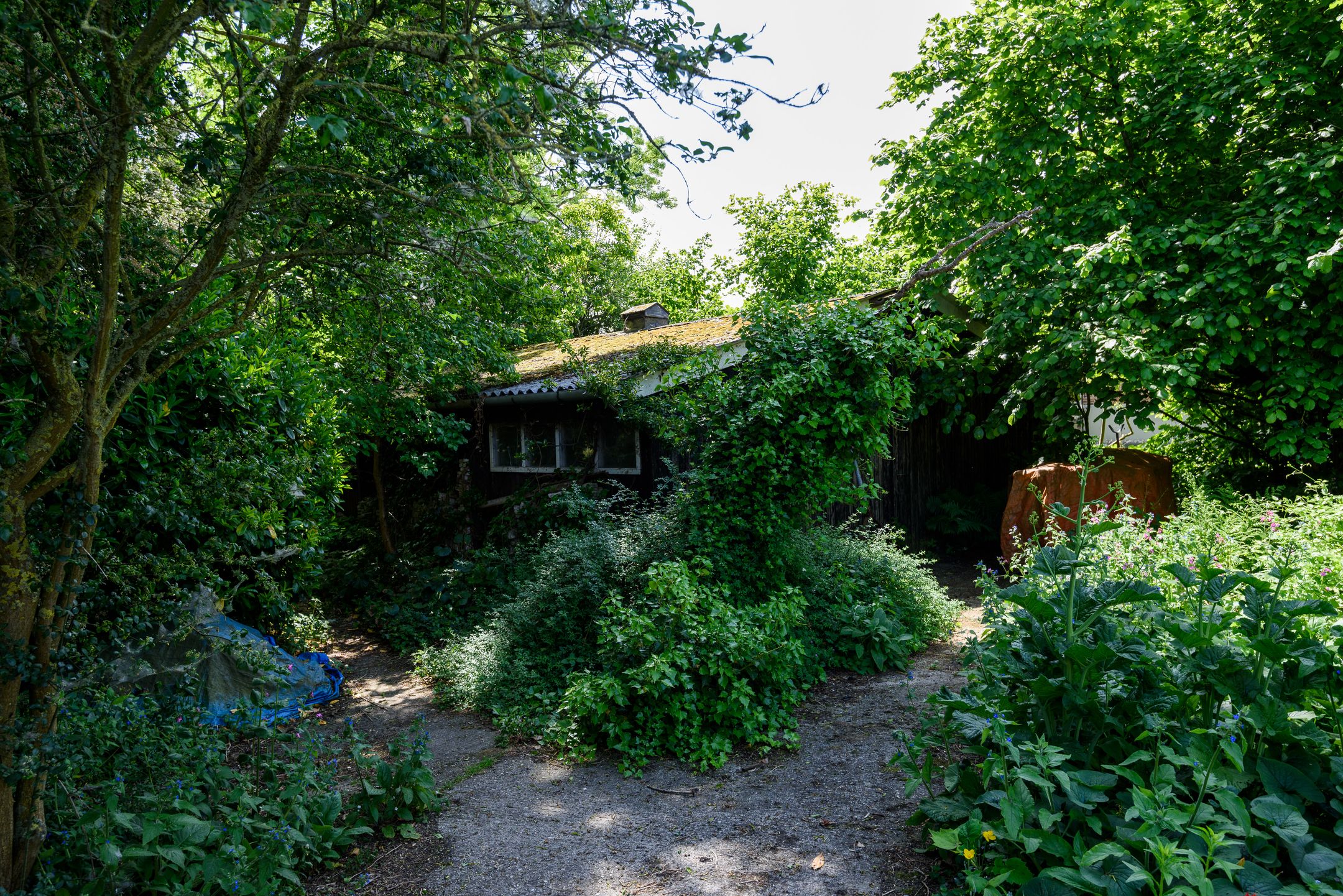 Foto 39 van Abbekesdoel 37