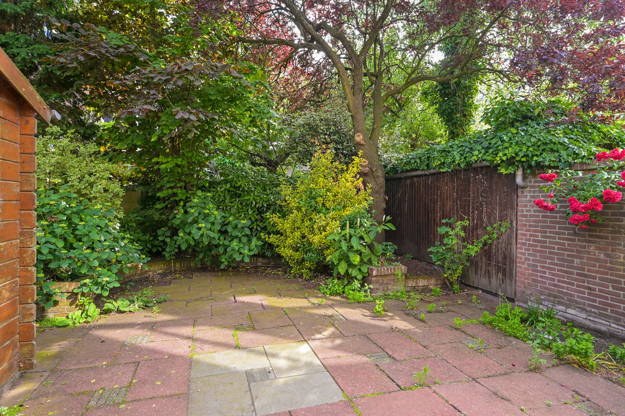 Foto 12 van Statenlaan 80