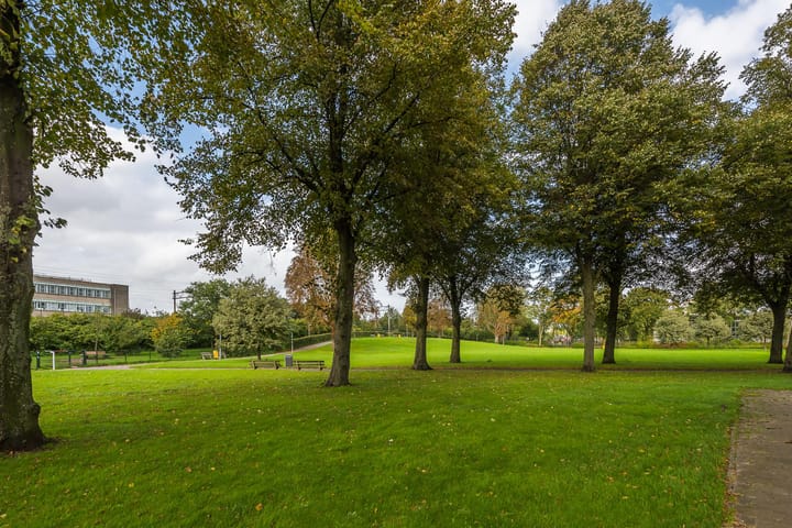 Foto 40 van Oudenoord 603