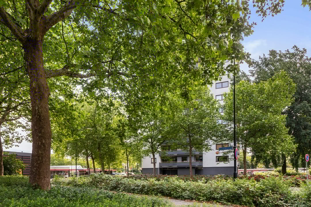 Foto 28 van Korianderstraat 18