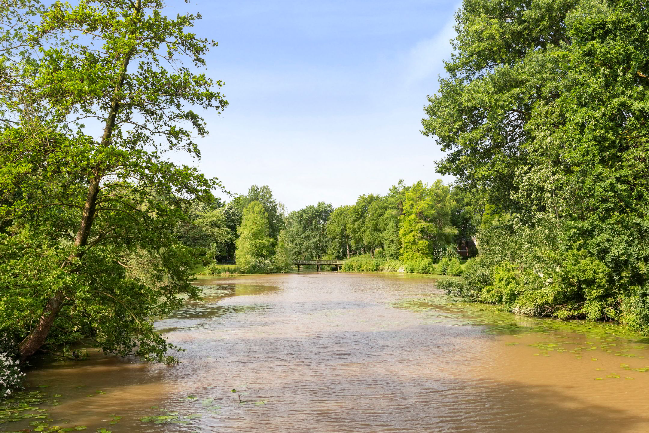 Foto 30 van Korianderstraat 18