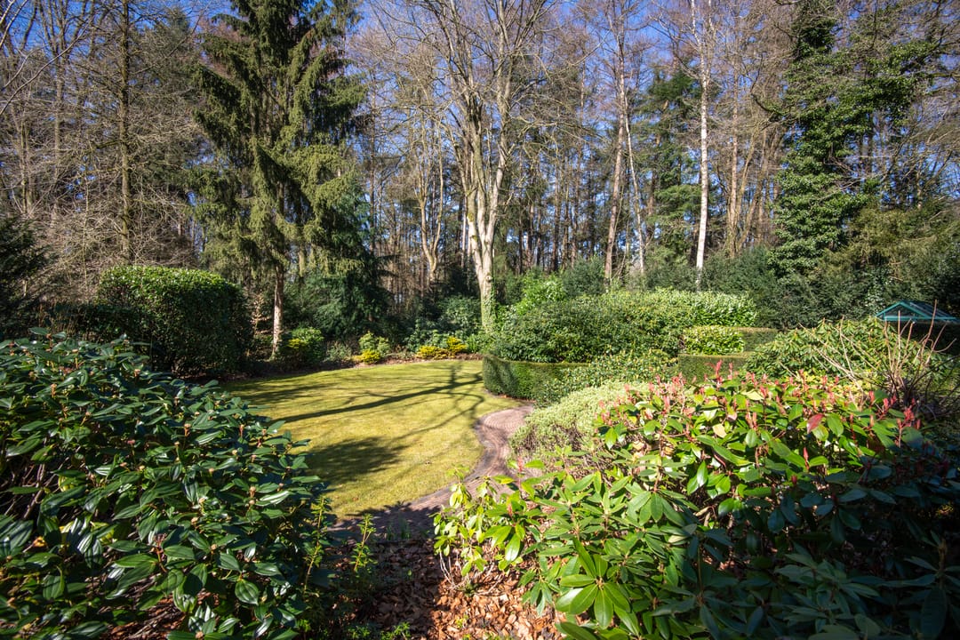 Foto 38 van Wilhelminalaan 21