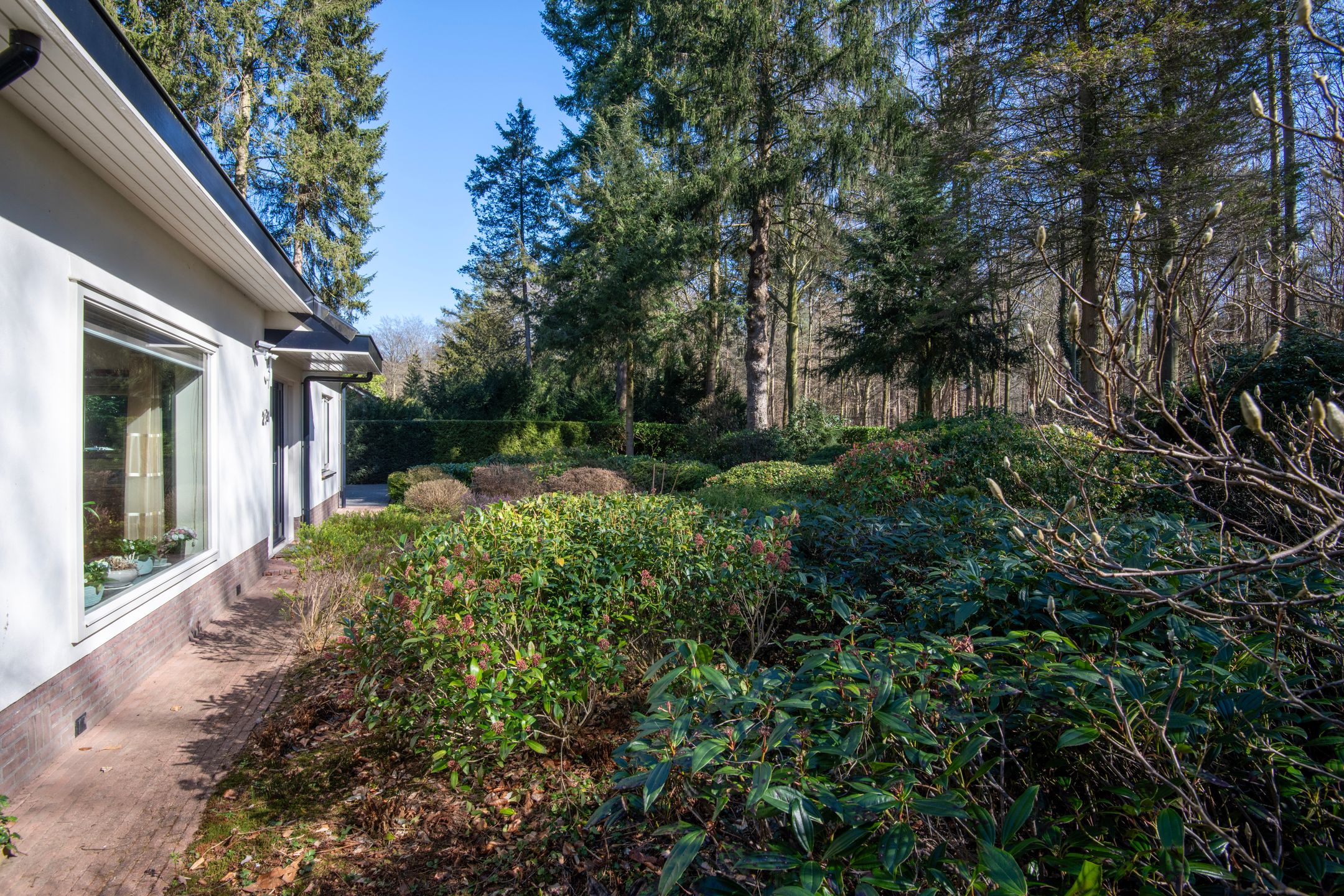 Foto 39 van Wilhelminalaan 21