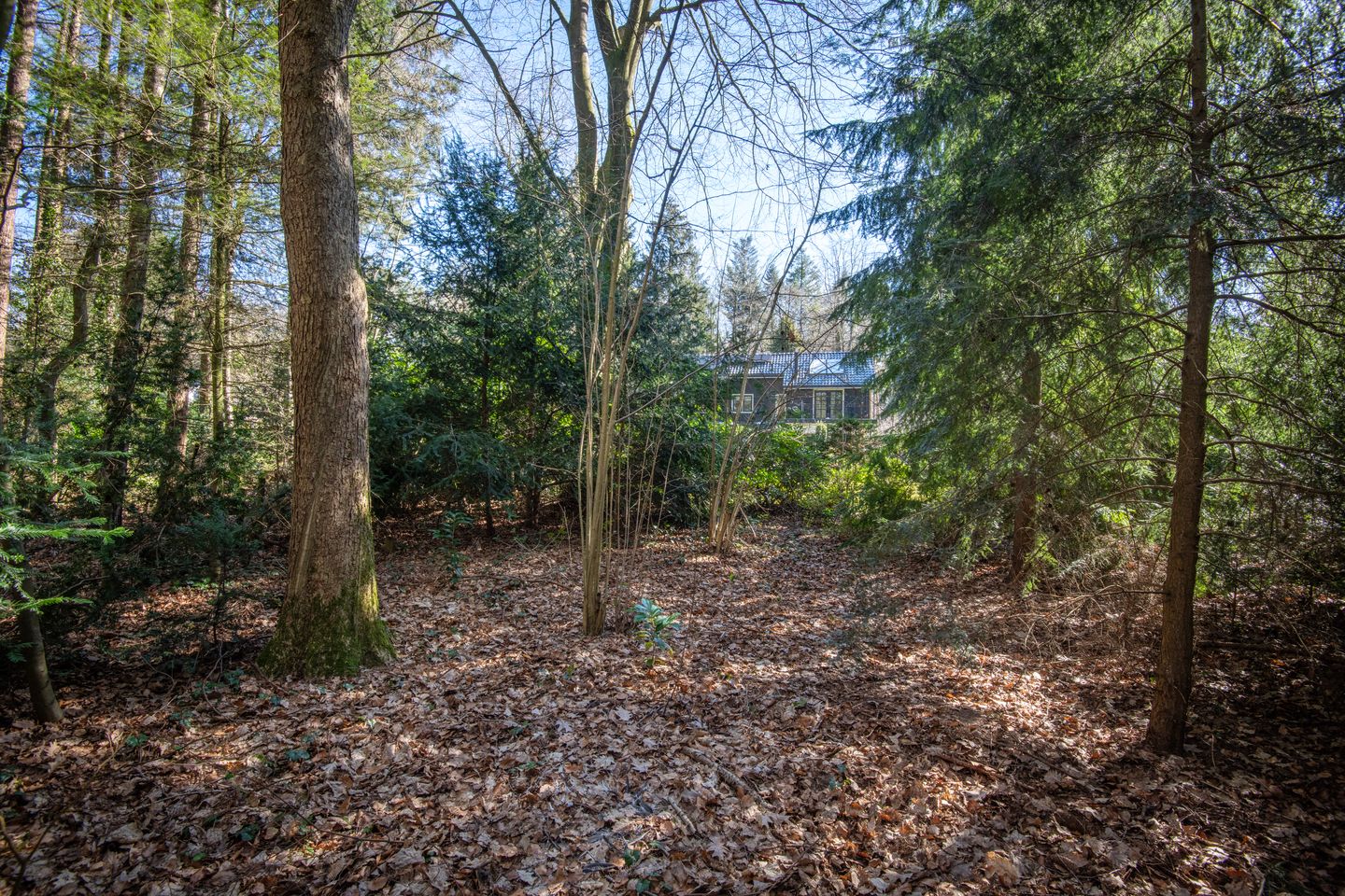 Foto 40 van Wilhelminalaan 21