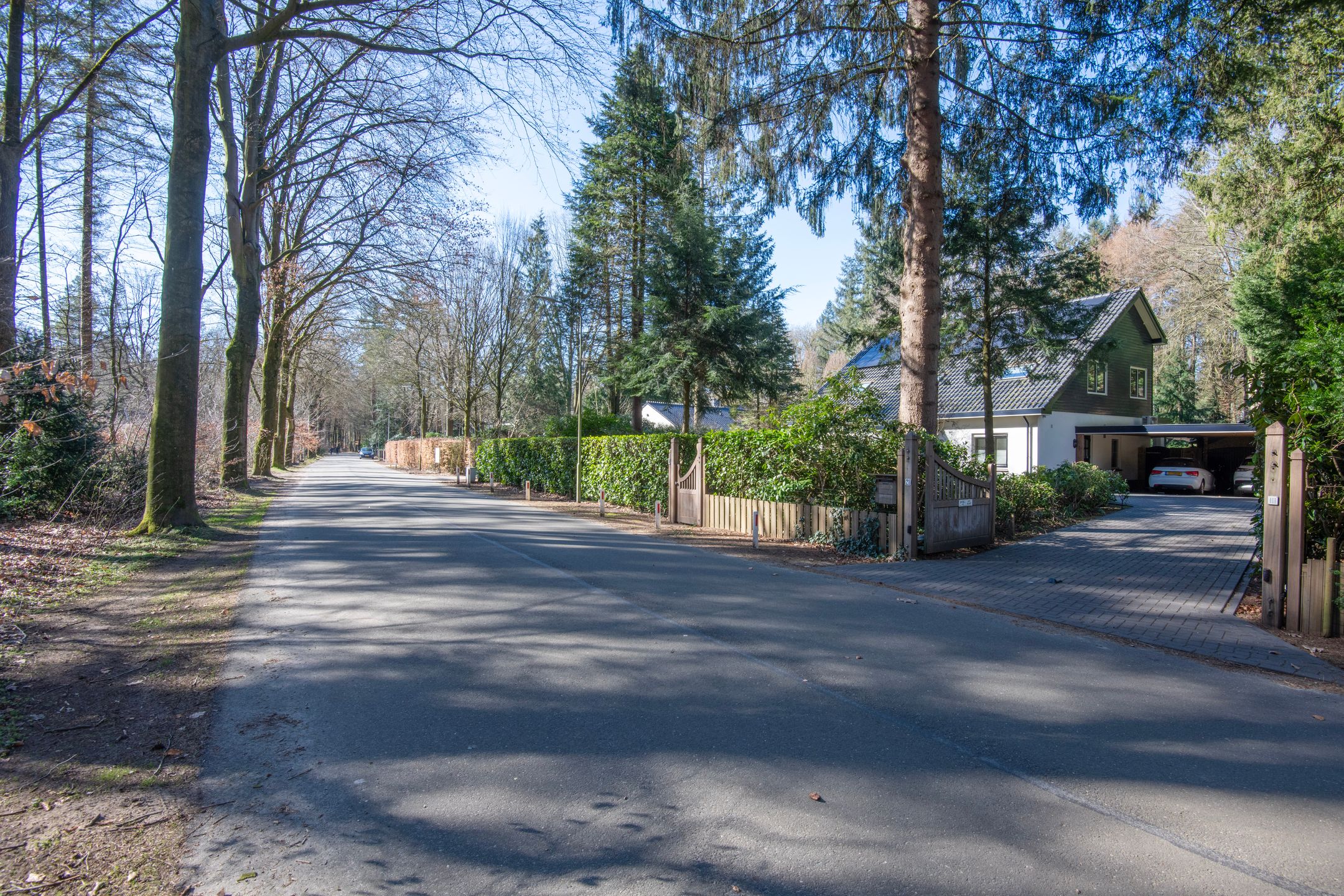 Foto 45 van Wilhelminalaan 21