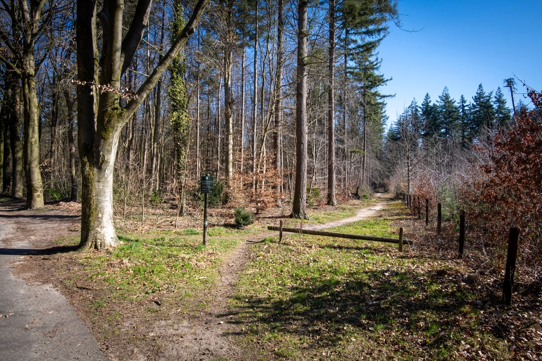 Foto 47 van Wilhelminalaan 21