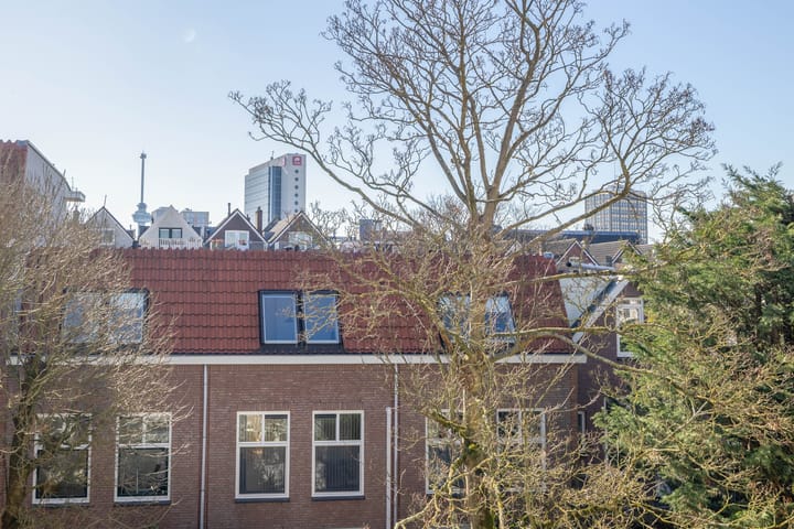 Foto 47 van Mathenesserlaan 220